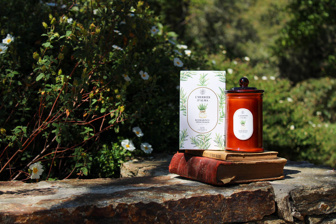 BOUGIE ROSMARINUS OFFICINALIS - ROMARIN & ORANGE