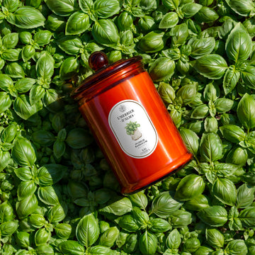 bougie huile essentielle orange parfum basilic